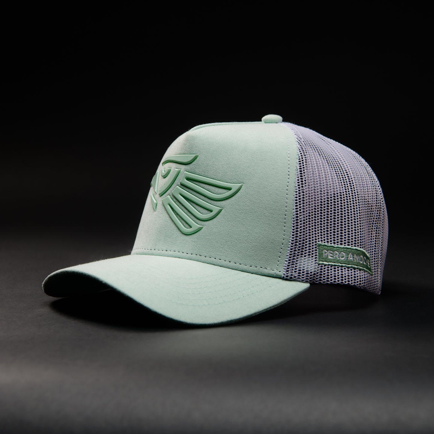 HECHO EN MEXICO LIGHT MINT HAT